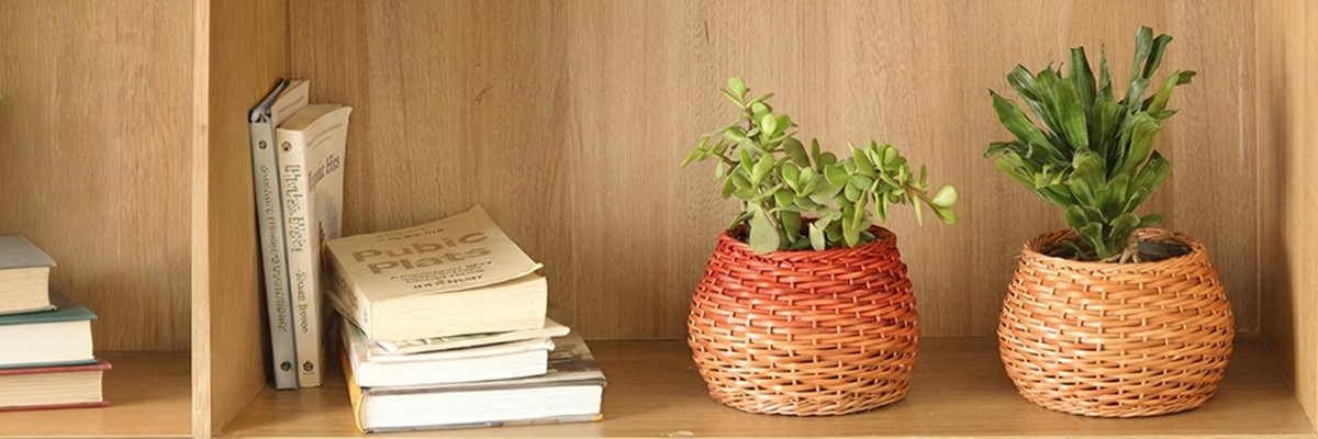 Decor Accessories