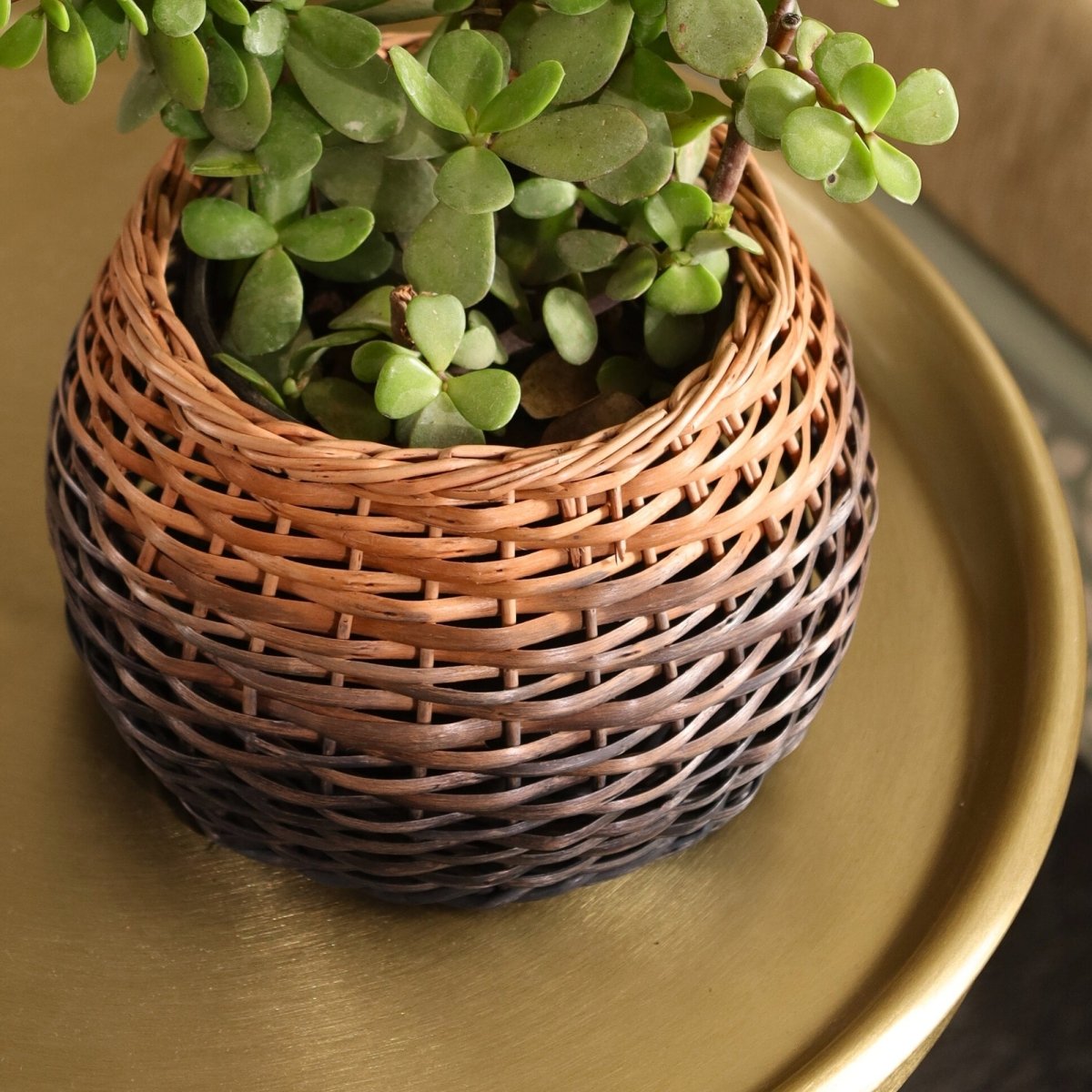 Brown Indigo Ombre Wicker and Wood Planter | Eco-friendly Indoor Decor