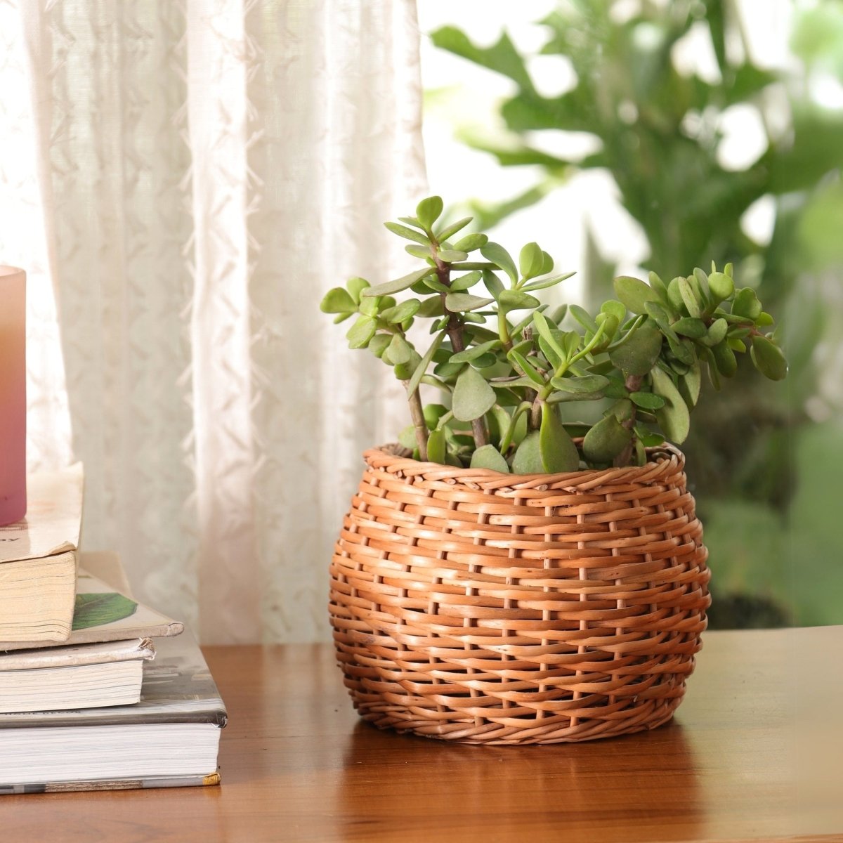 Brown Wicker and Wood Planter | Eco-friendly Indoor Decor