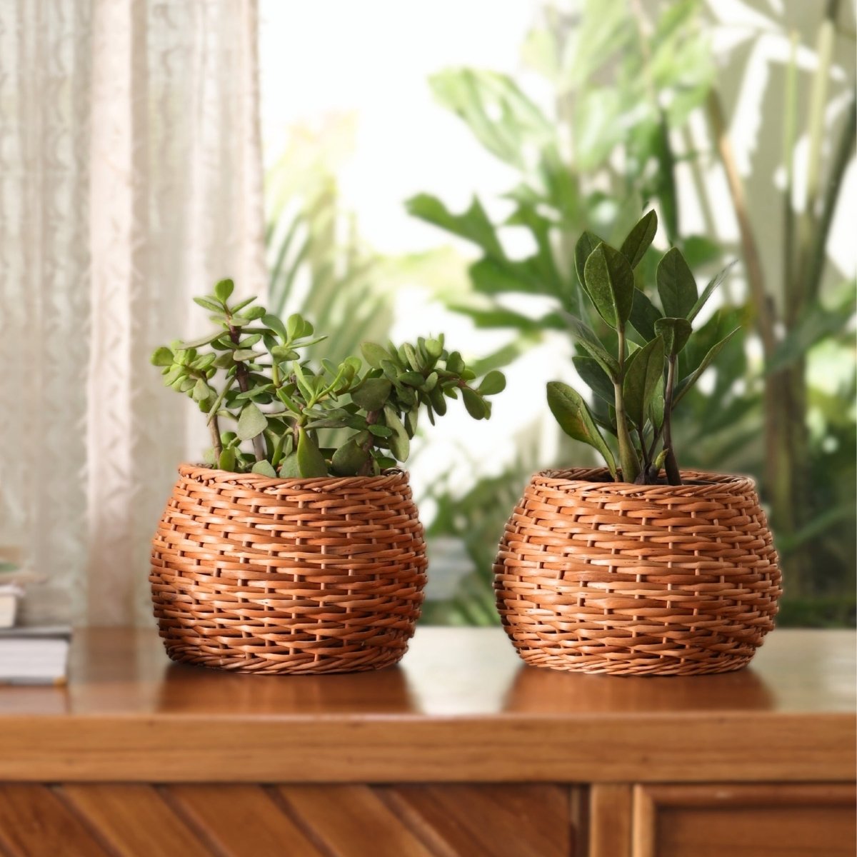 Brown Wicker and Wood Planter | Eco-friendly Indoor Decor