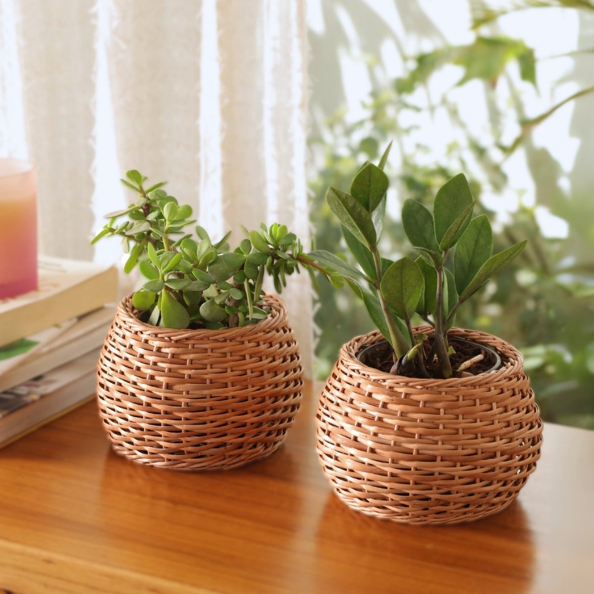 Brown Wicker and Wood Planter | Eco-friendly Indoor Decor