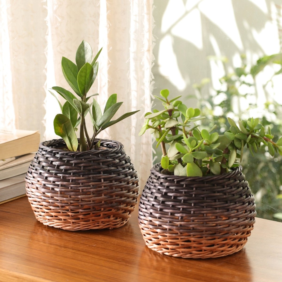 Indigo and Brown Ombre Wicker and Wood Planter | Eco-friendly Indoor Decor