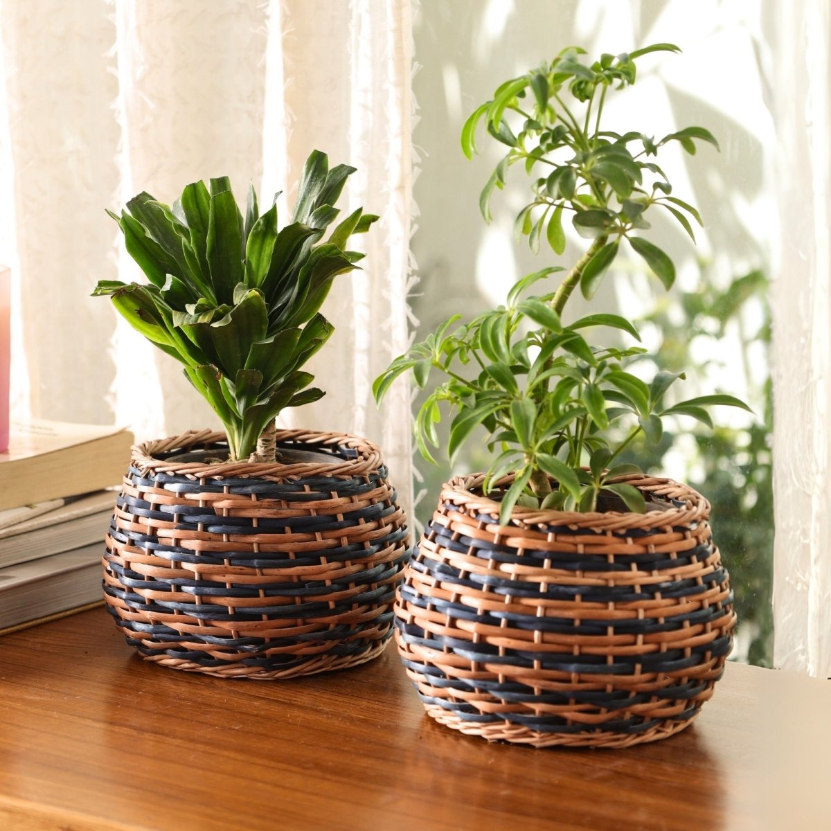 Indigo and Brown Wicker and Wood Planter | Eco-friendly Indoor Decor