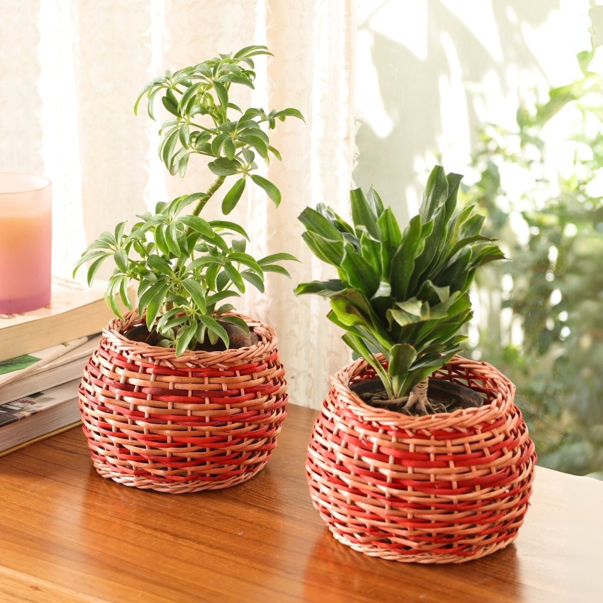 Rust Brown and Indigo Wicker and Wood Planter | Eco-friendly Indoor Decor