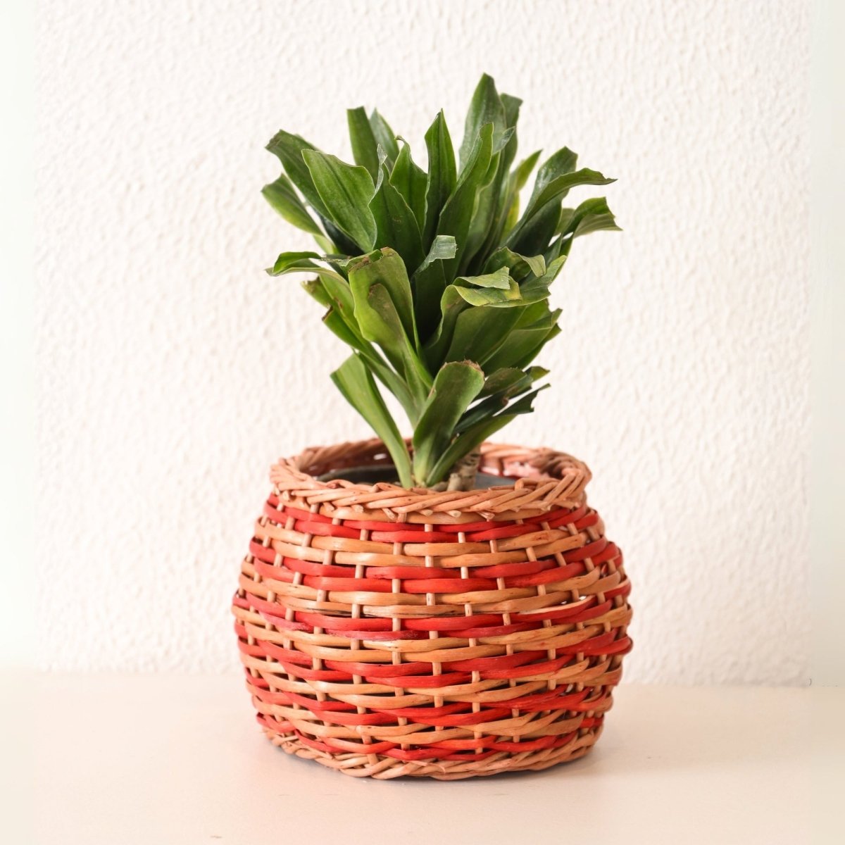 Rust Brown and Indigo Wicker and Wood Planter | Eco-friendly Indoor Decor