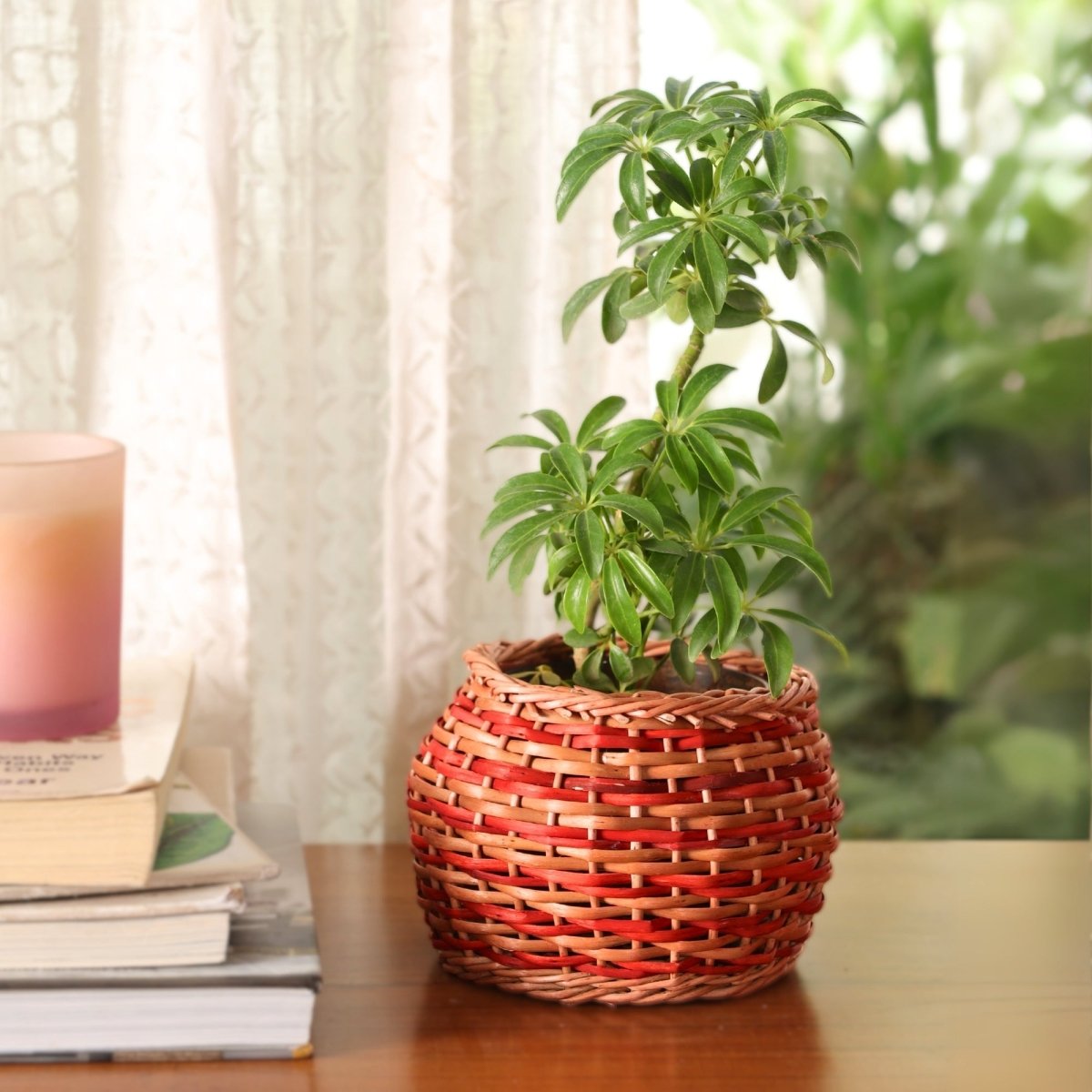 Rust Brown and Indigo Wicker and Wood Planter | Eco-friendly Indoor Decor