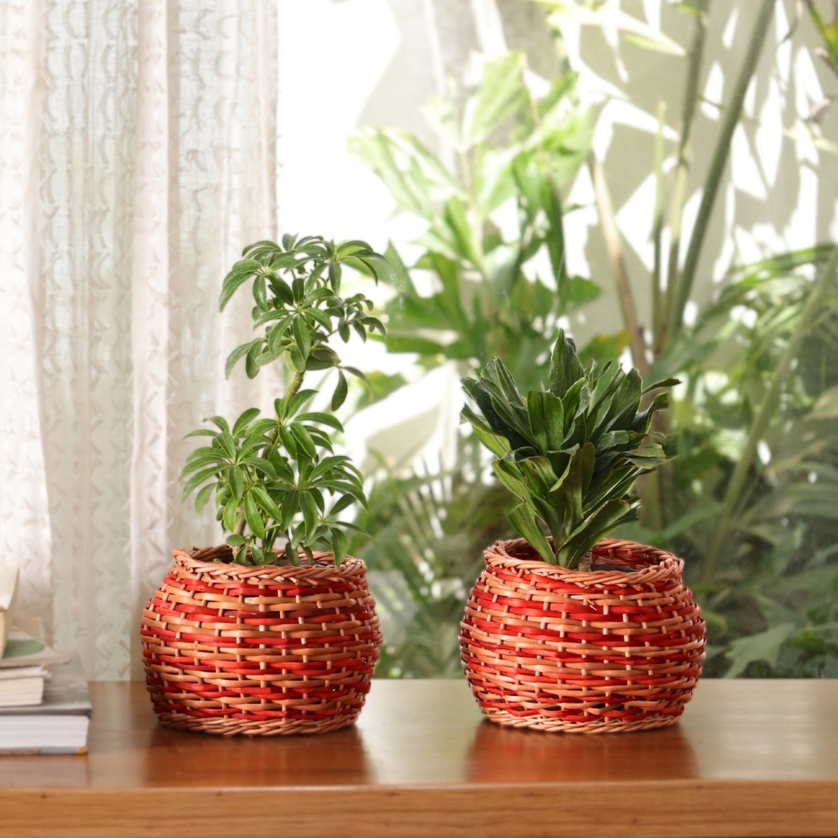 Rust Brown and Indigo Wicker and Wood Planter | Eco-friendly Indoor Decor
