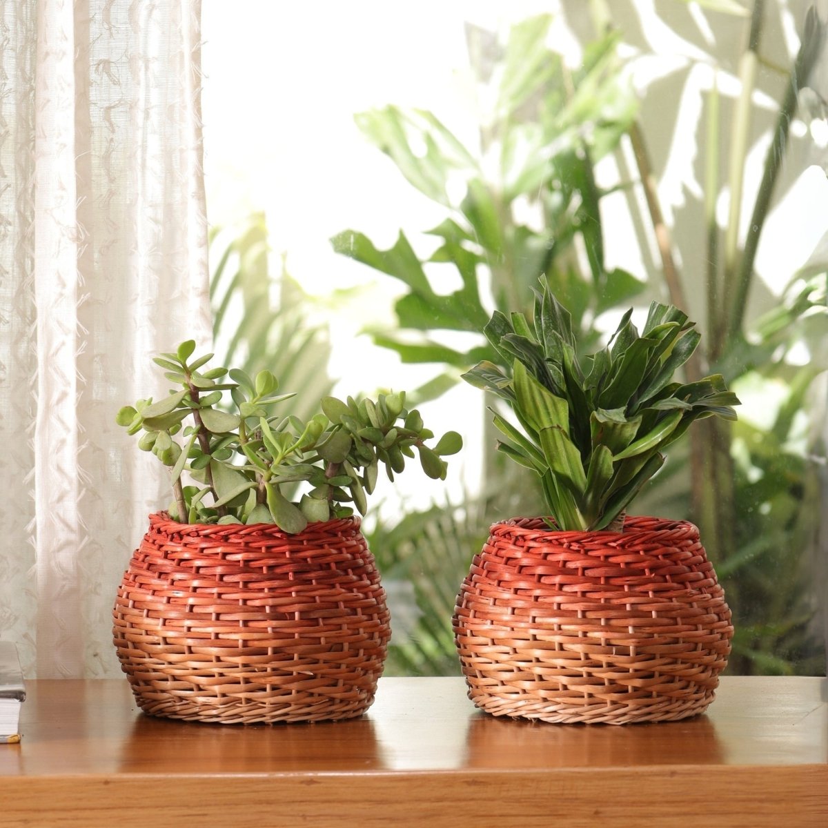 Rust and Natural Brown Wicker and Wood Planter | Eco-friendly Indoor Decor
