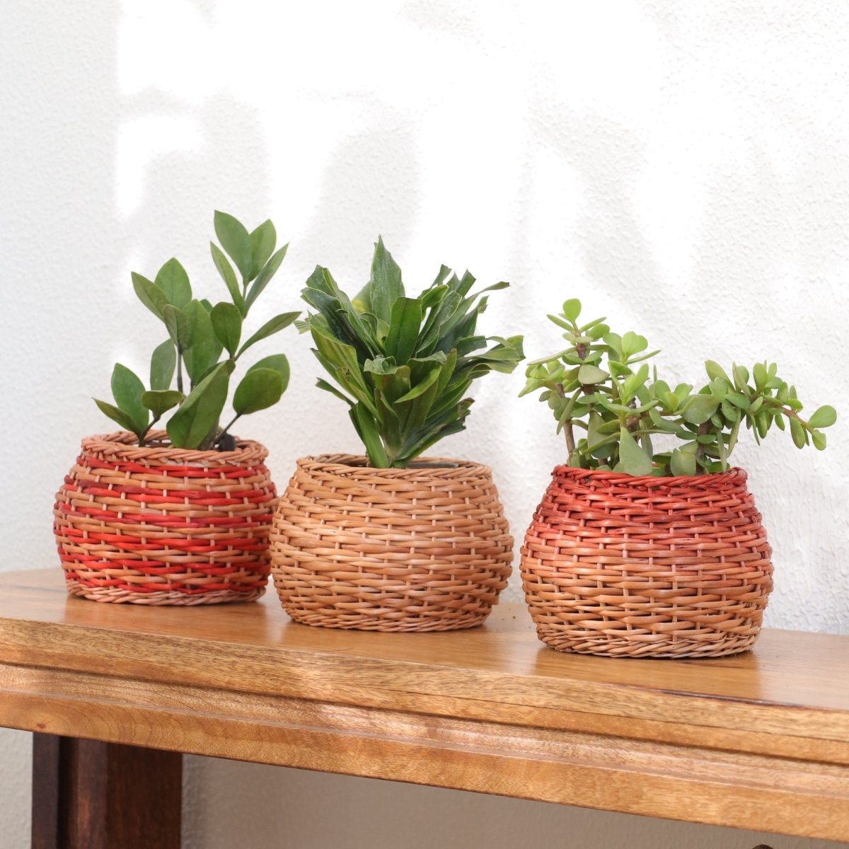 Rust and Natural Brown Wicker and Wood Planter | Eco-friendly Indoor Decor