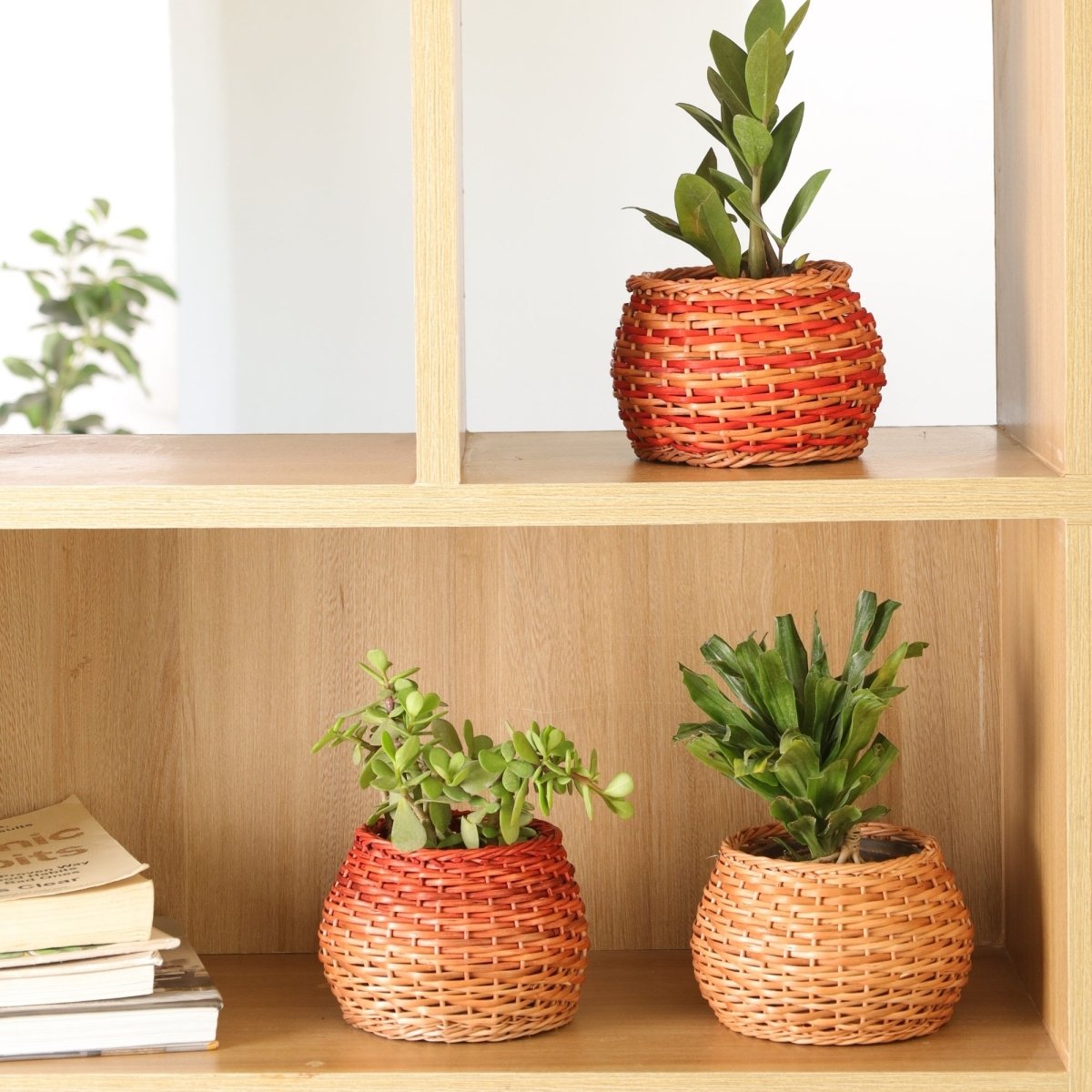 Rust and Natural Brown Wicker and Wood Planter | Eco-friendly Indoor Decor