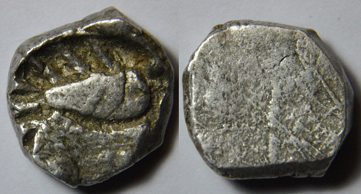 A silver coin from Avanti dated 400-312 BC with the symbol of a fish on the obverse side