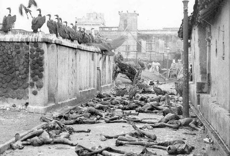 Vultures and corpses in the street of Calcutta , August 1946