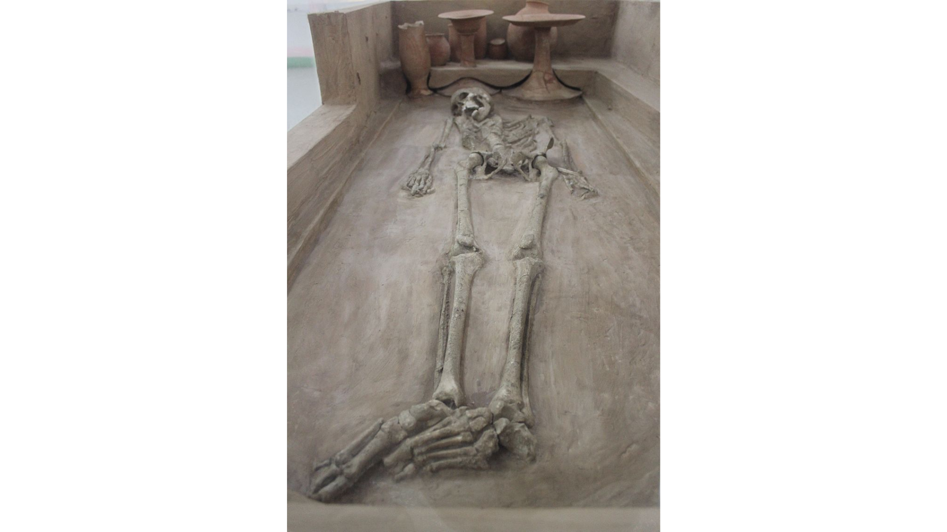 The skeleton of male, part of the "Rakhigarhi love birds" couple, found at Rakhigarhi and now on display in the National Museum | Wikimedia Commons