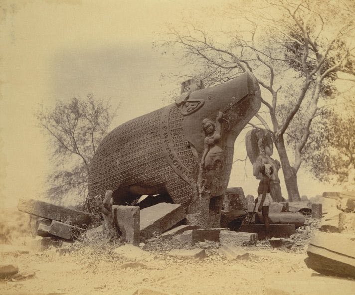 A 19th Century photograph of the Varaha at Eran in Madhya Pradesh