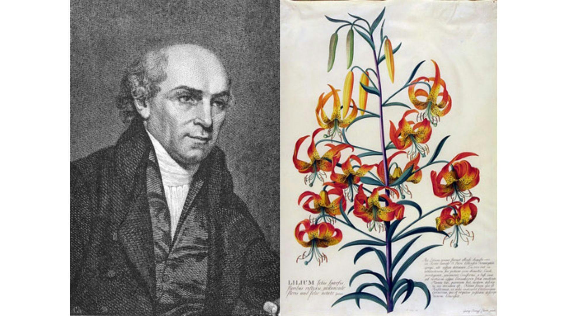 Botanist William Carey