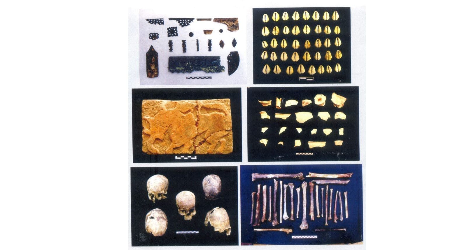 Artefacts unearthen during the 2000-02 excavation of maidam no.2, Charaideo