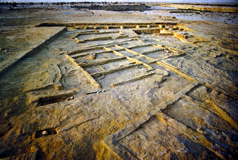 Multi-roomed houses excavated on plan