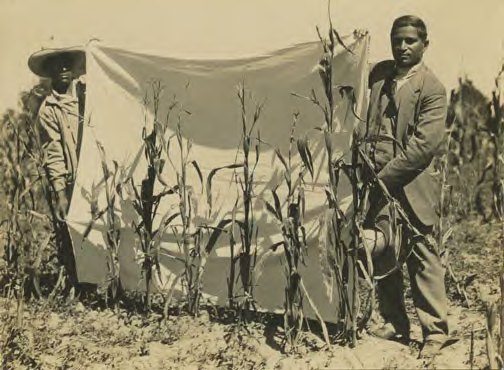 Dr Pandurand along with a maize farmer