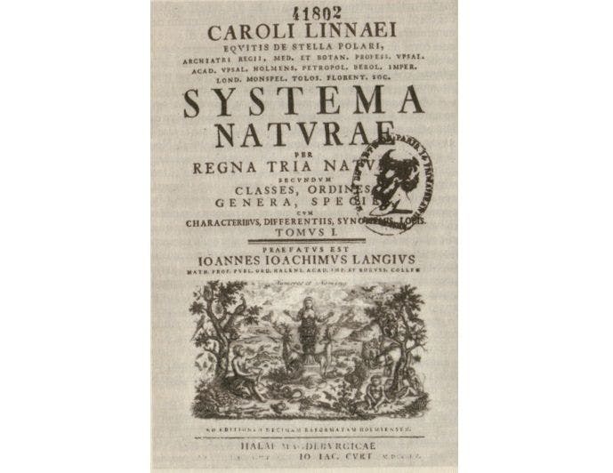 Carl Linnaeus’ Frontispiece of Systema Naturae (1760 edition)