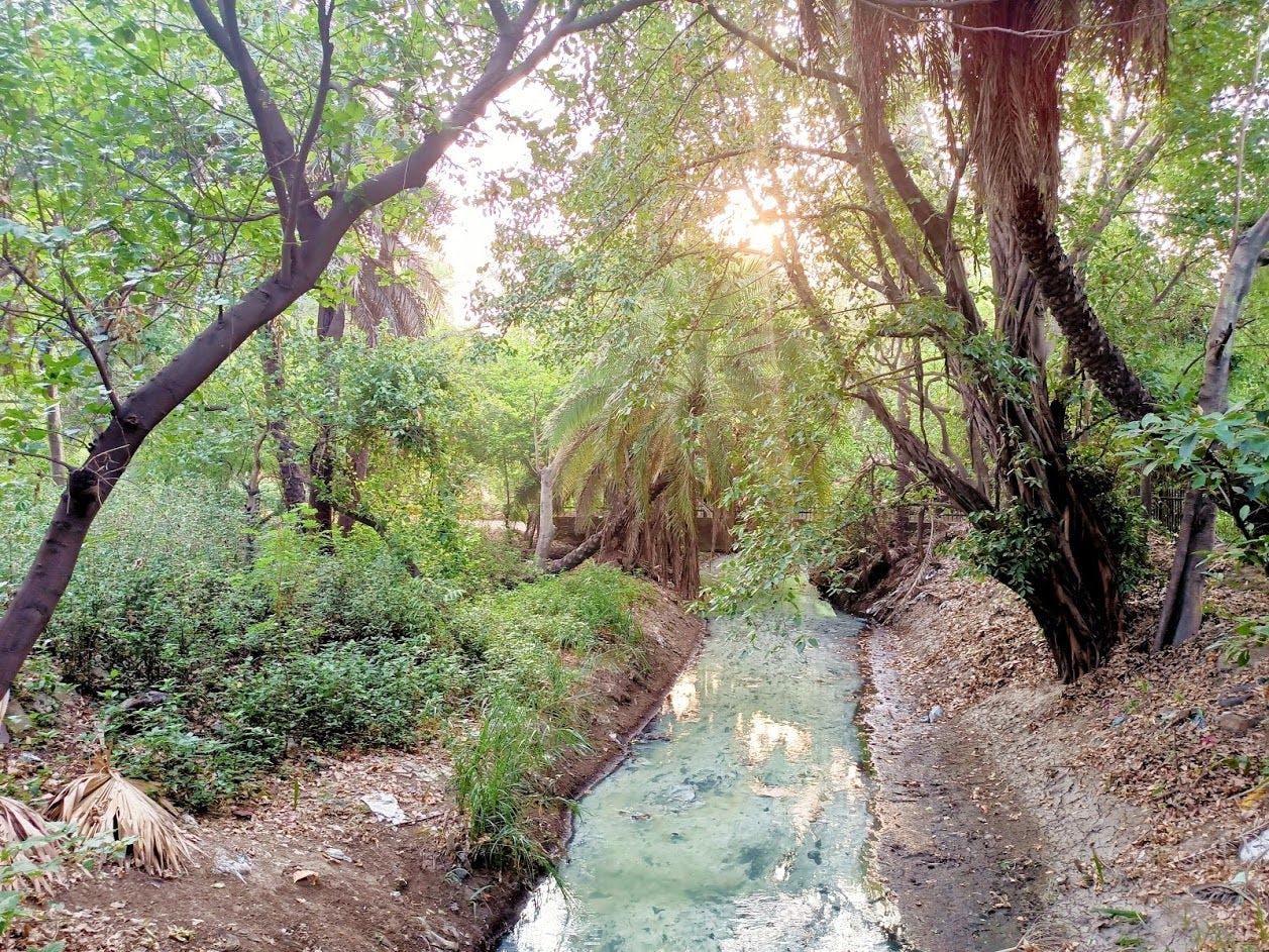 A water channel running through the Bagh