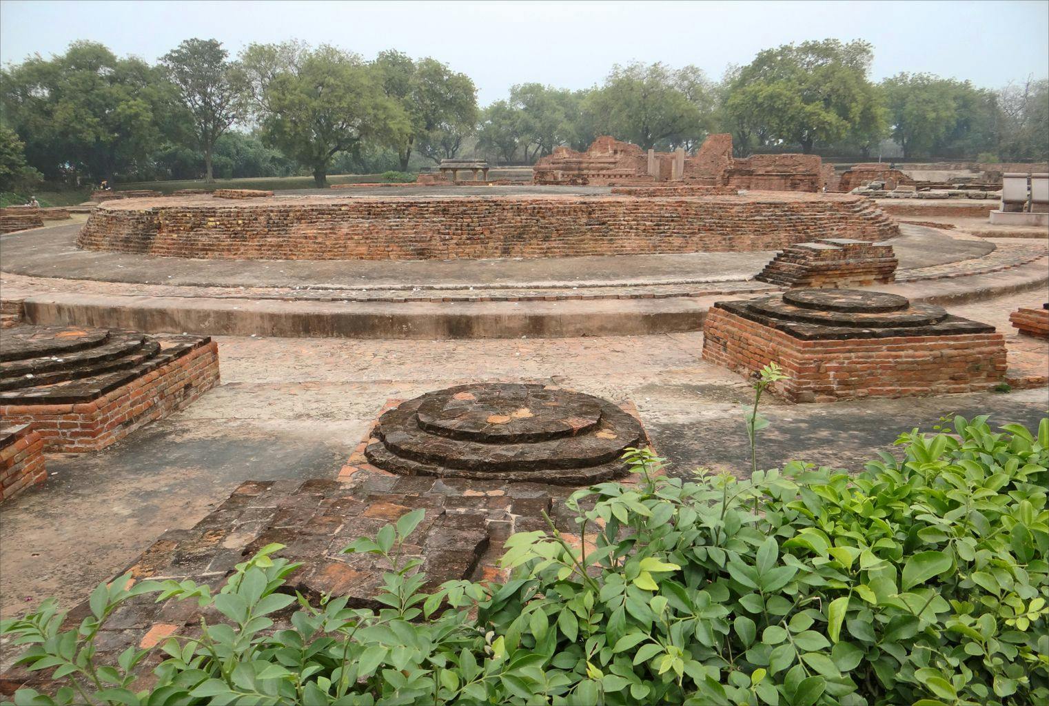 Ruins of Dharmarajika Stupa