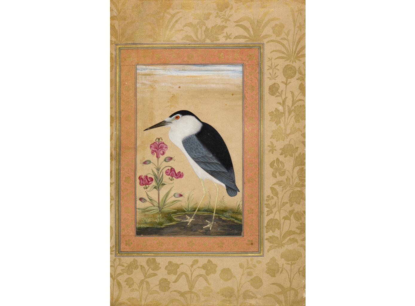 The Black-Crowned Night Heron (Nycticorax nycticorax) With A Lily. Mughal, 1630-33