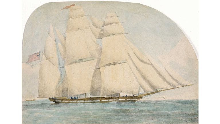 Water Witch; A Ship belonging to Carr Tagore & Company