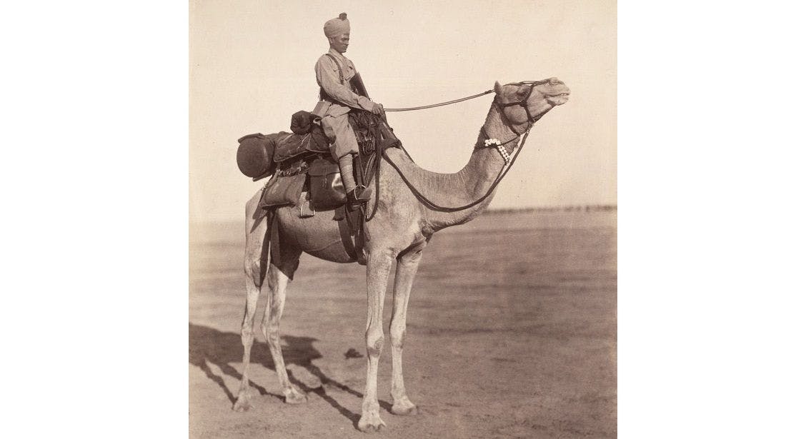 A sowar (rider) of the Bikaner Camel Corps on his mount at Bikaner in Rajasthan