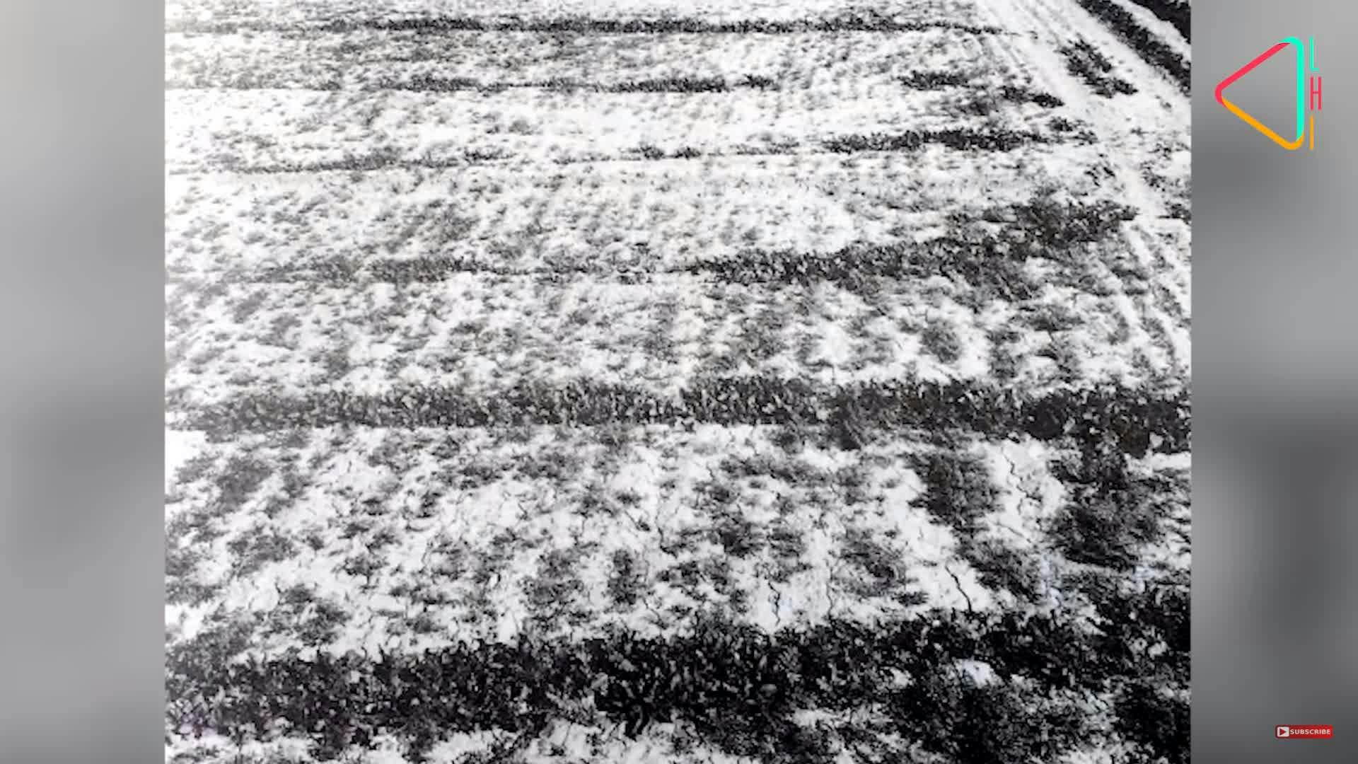 An image of the ploughed agricultural fields at Kalibangan 