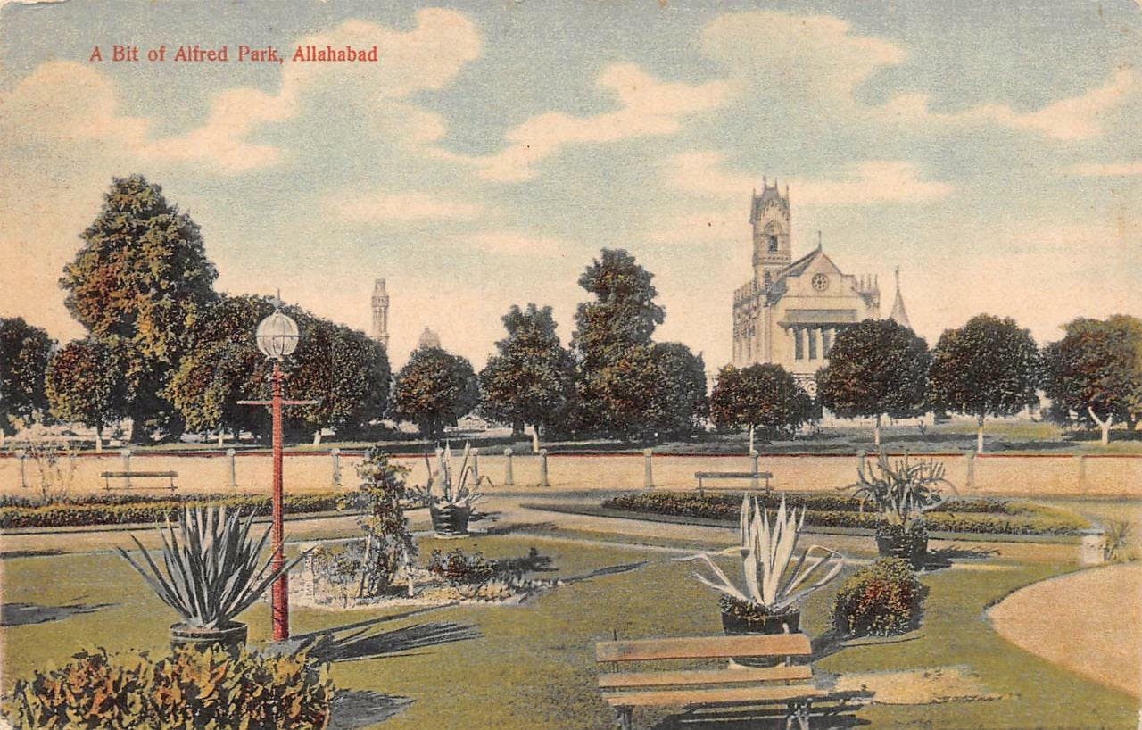 An English Postcard of Alfred Park