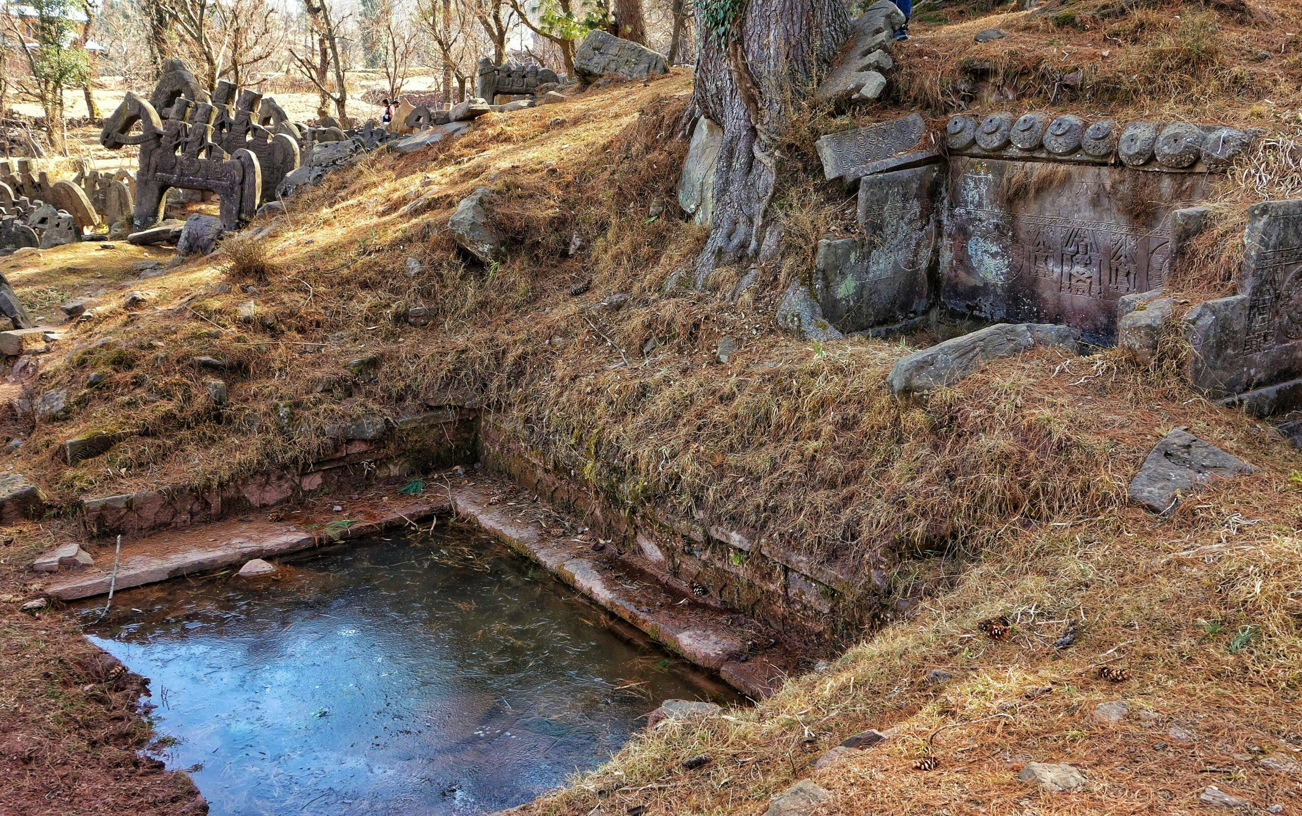 A semi frozen pond on the site fed by a natural spring