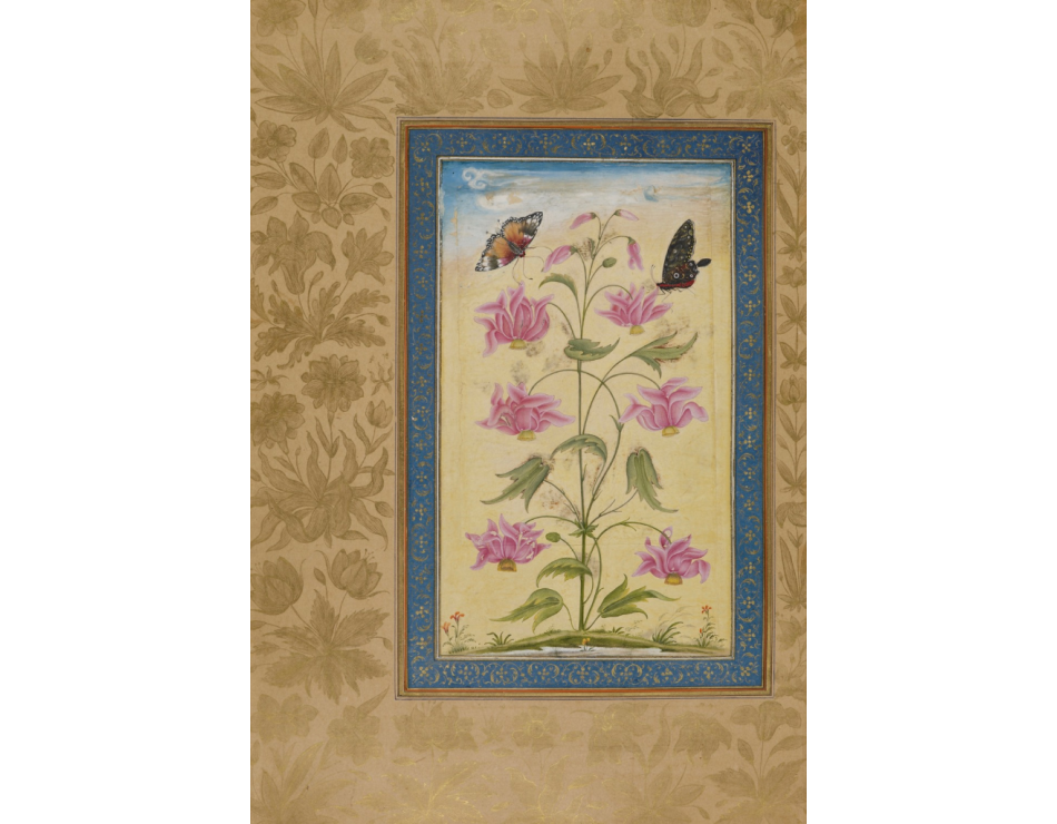 Exotic Flowers With Butterflies. Mughal, 1630-33