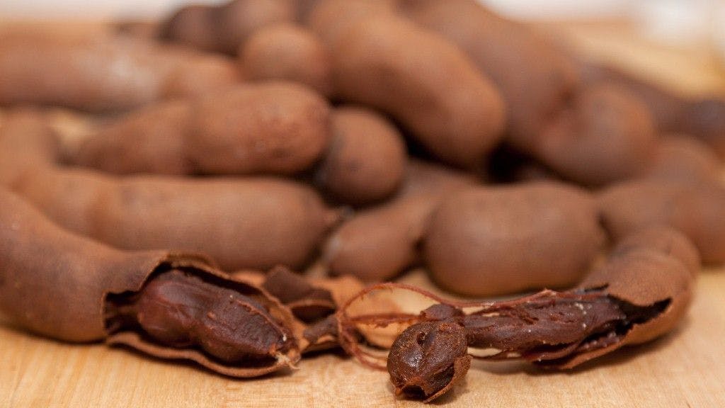 India is the largest producer of tamarind in the world