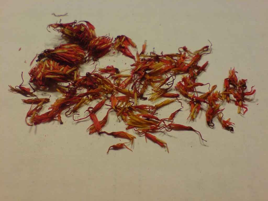Dried Safflower Petals for Dyeing I Wiki Commons