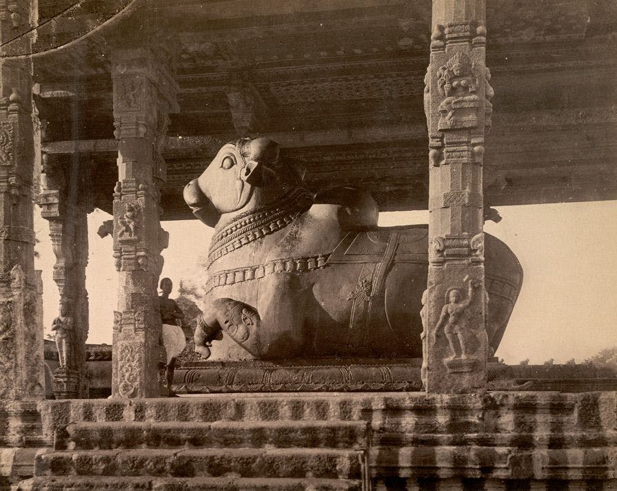 The Nandi statue at the pavilion