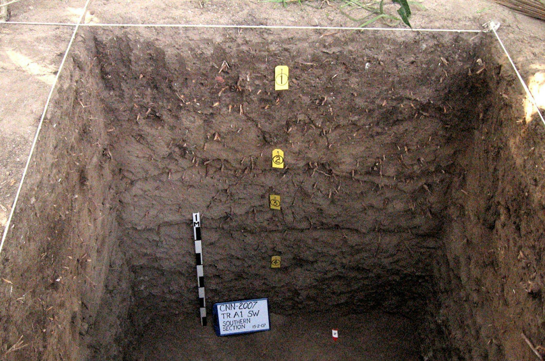 Excavation Trench at Chinchani