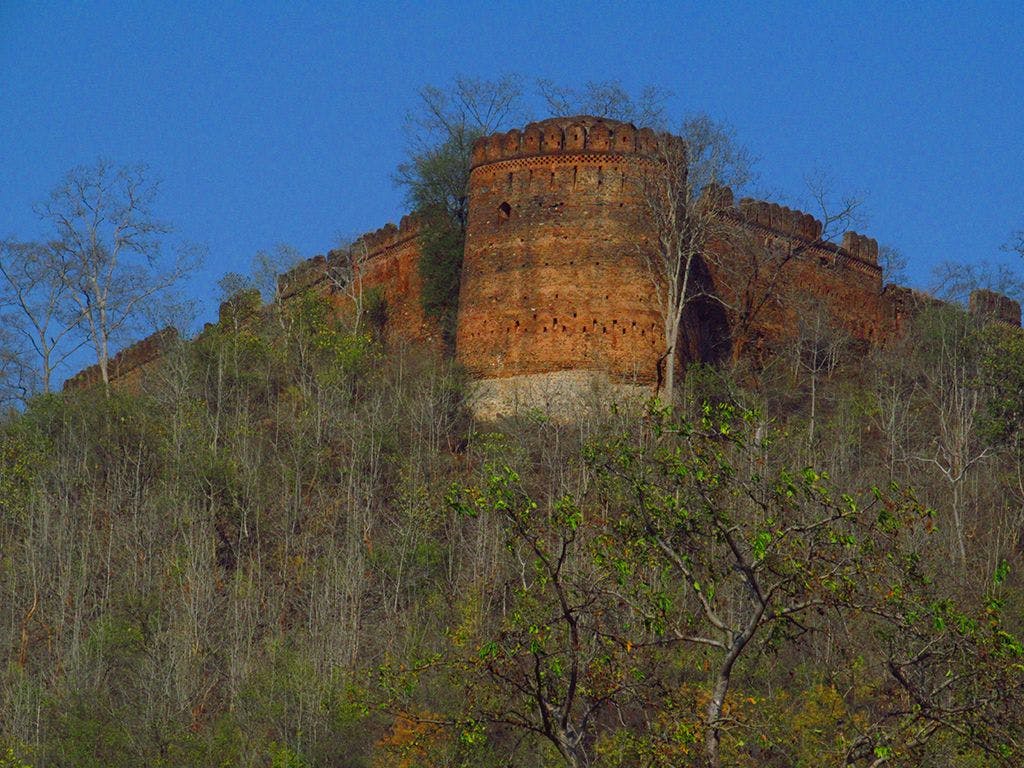 New Fort of Palamu