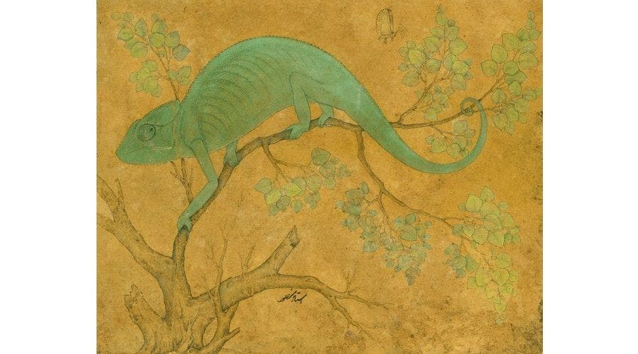A Chameleon 1612 by Mansur