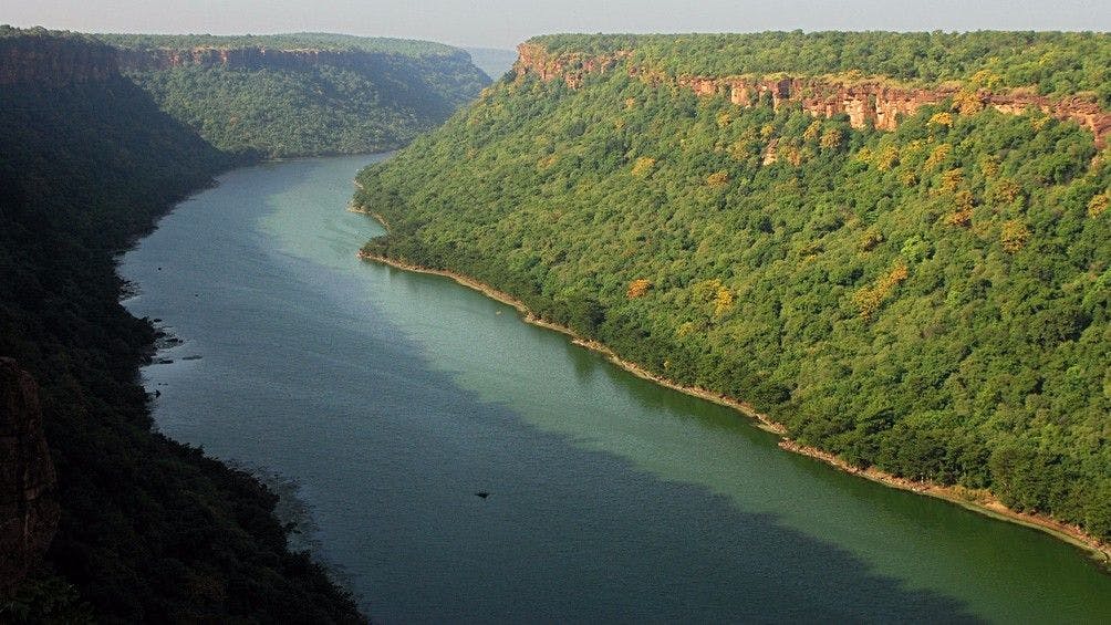 Damodar rao and his followers took refuge in thick forests on the banks of the river Chambal