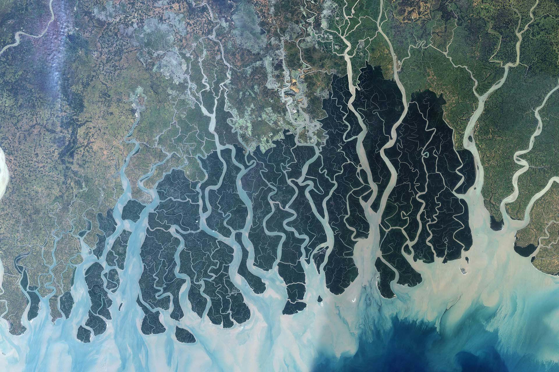 The Sundarbans appear dark green in this satellite image
