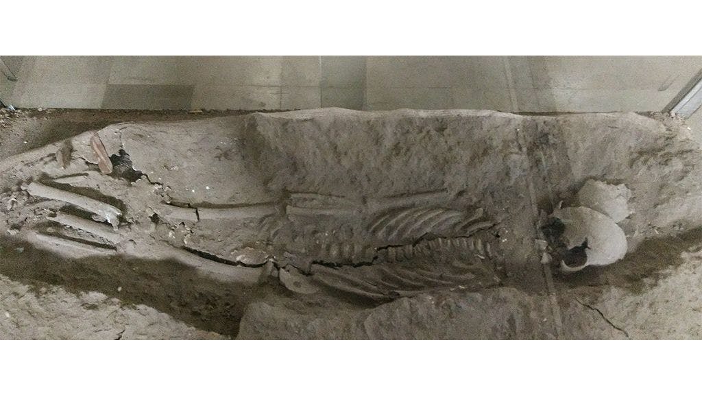Remains of a skeleton with feet missing. This was found at Inamgaon and is kept at Deccan College, Pune