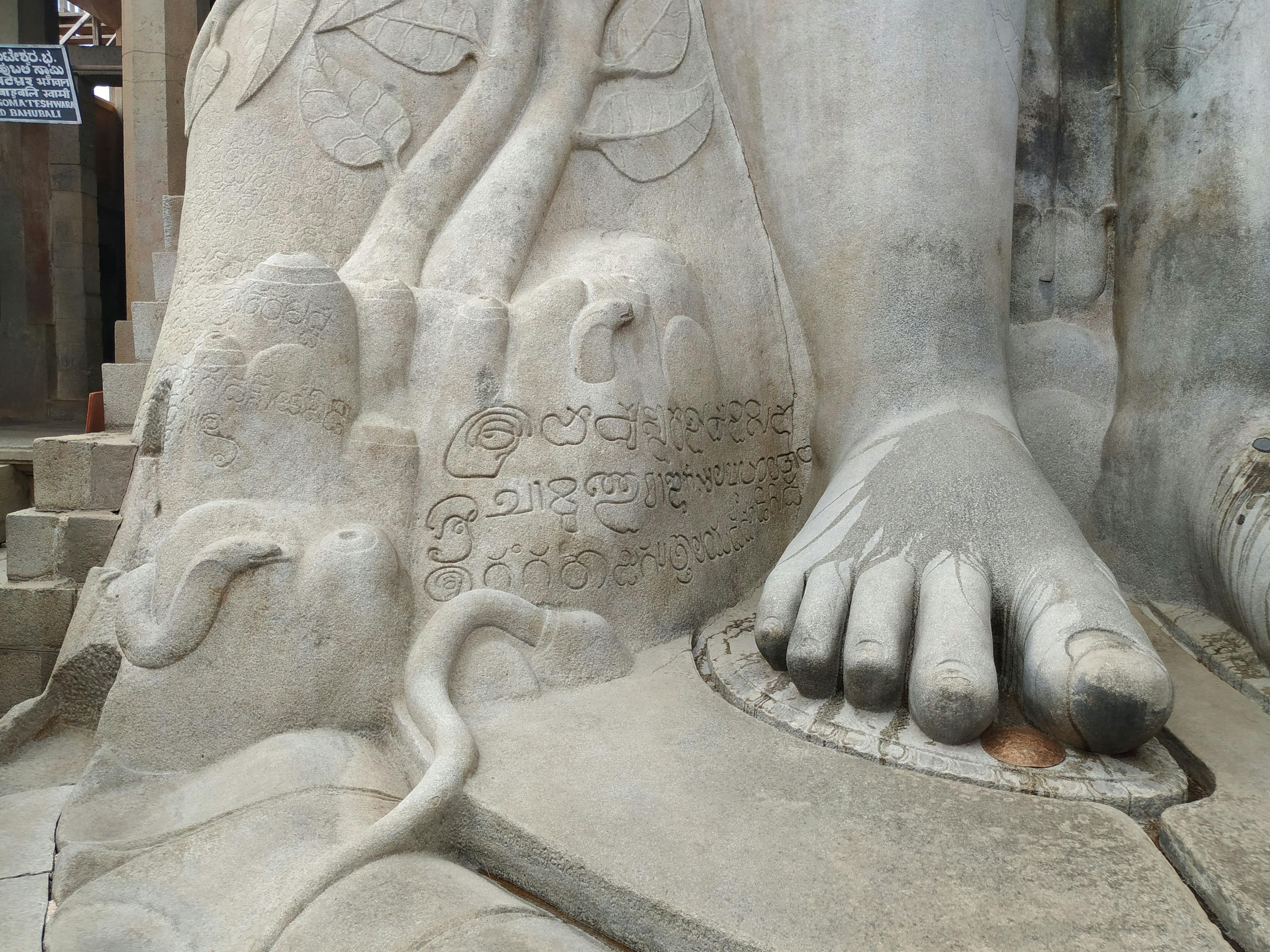 The vegetation around Bahubali’s feet