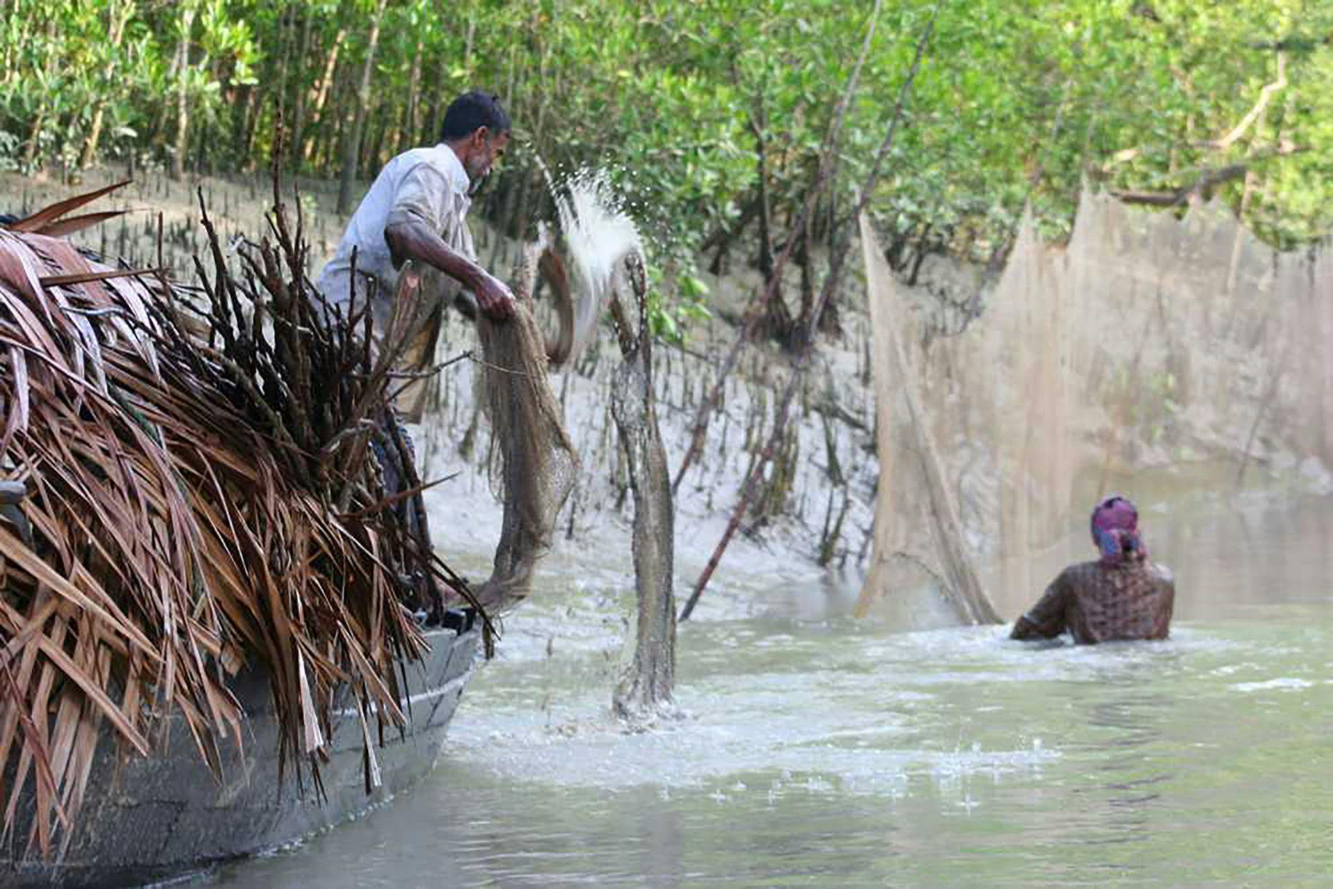 Fishing in the Sundarbans