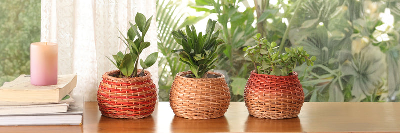 Home Décor
