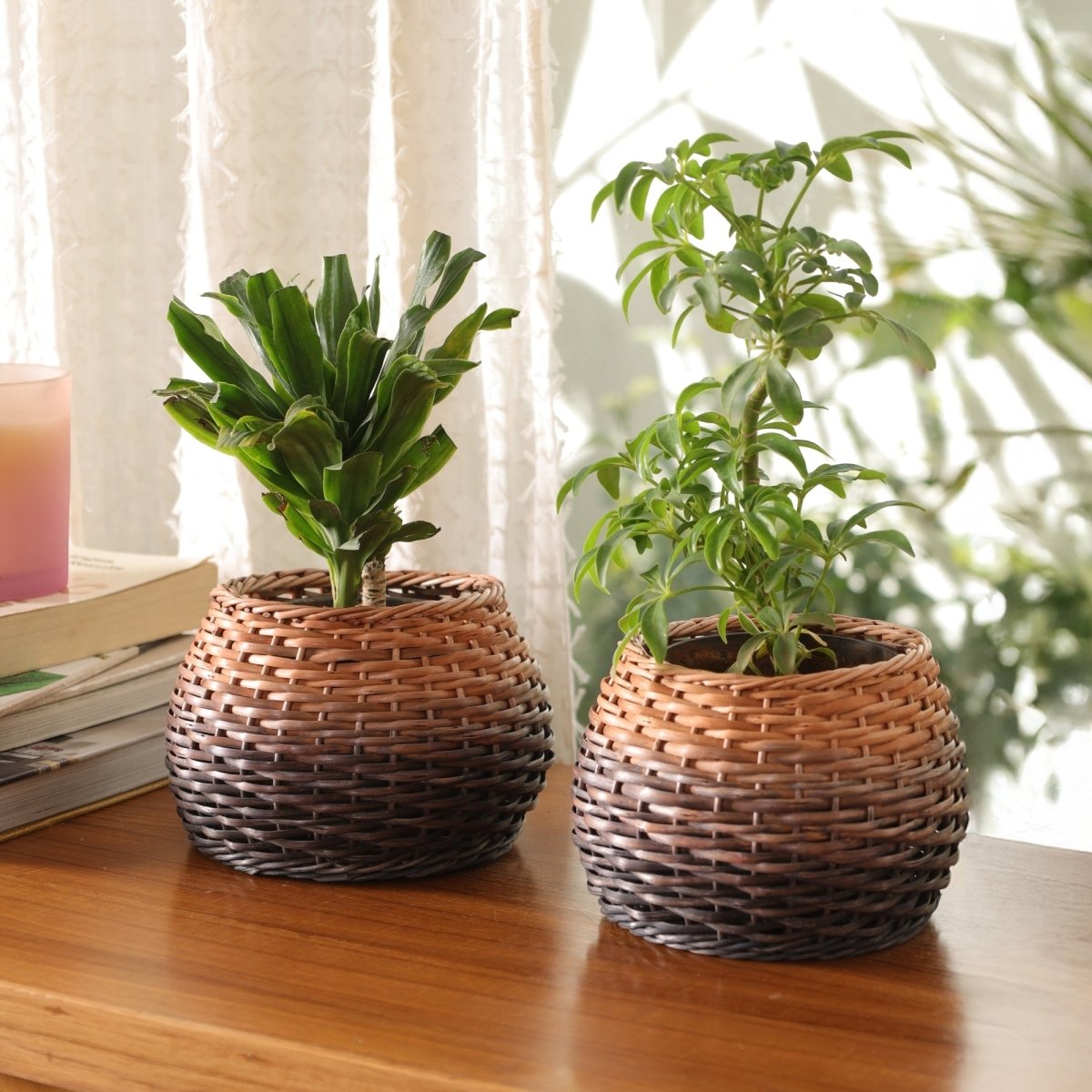 Brown Indigo Ombre Wicker and Wood Planter | Eco-friendly Indoor Decor