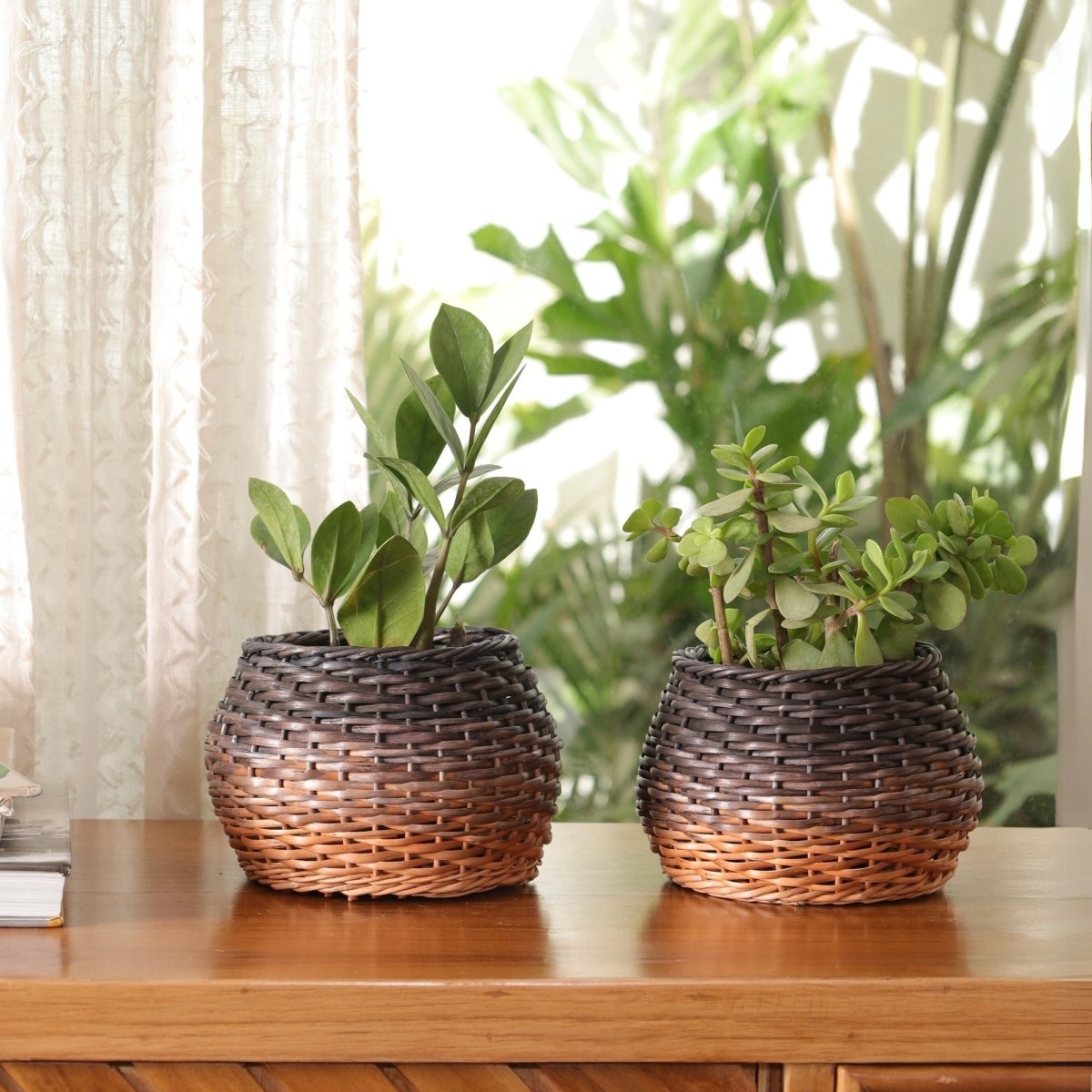 Indigo and Brown Ombre Wicker and Wood Planter | Eco-friendly Indoor Decor