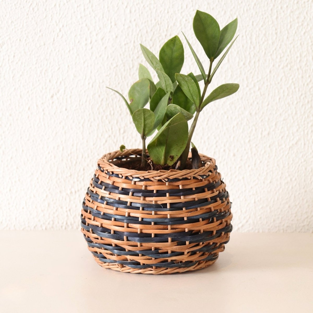 Indigo and Brown Wicker and Wood Planter | Eco-friendly Indoor Decor