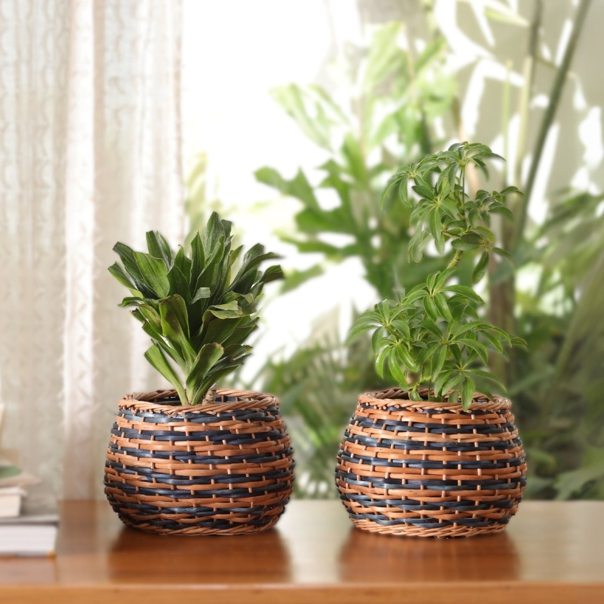 Indigo and Brown Wicker and Wood Planter | Eco-friendly Indoor Decor