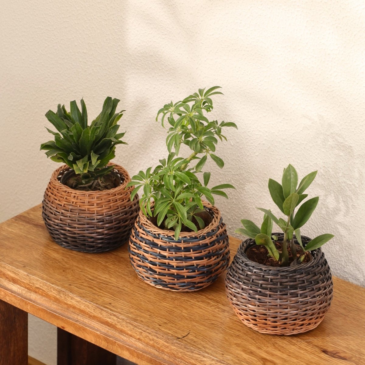 Indigo and Natural Brown Wicker and Wood Planter | Eco-friendly Indoor Decor
