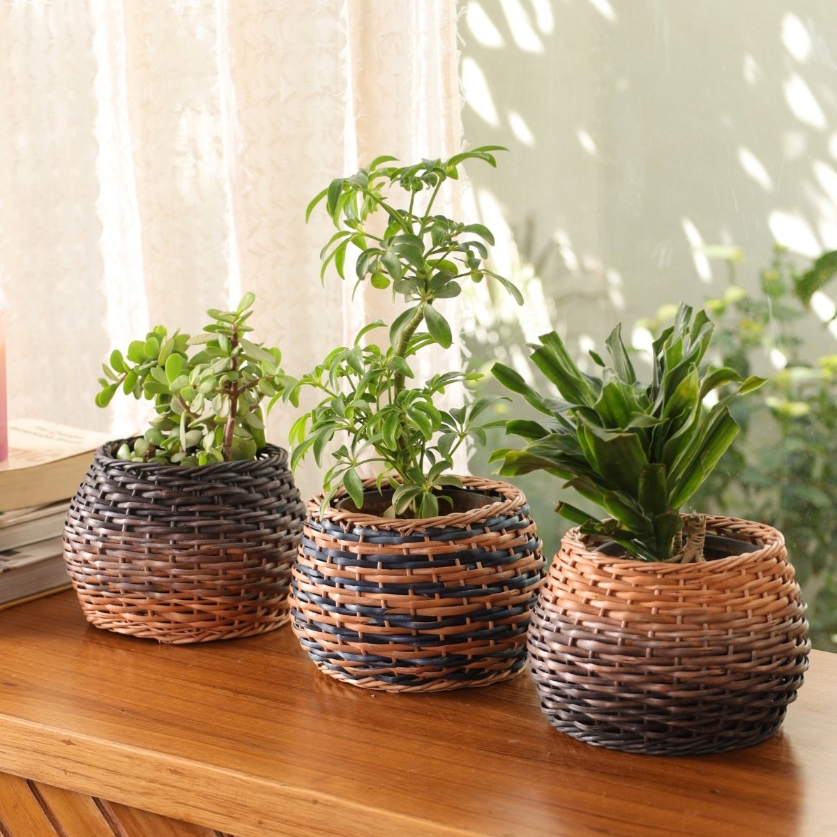 Indigo and Natural Brown Wicker and Wood Planter | Eco-friendly Indoor Decor